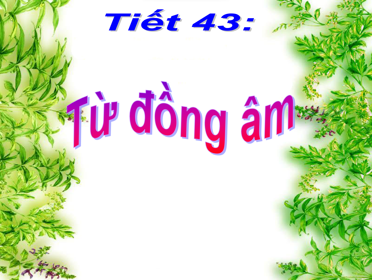 Bài 11 - Tiết 43: Từ đồng âm 