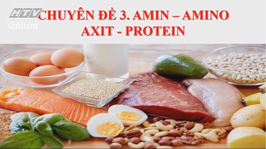 Bài 06 amin amino acid protein