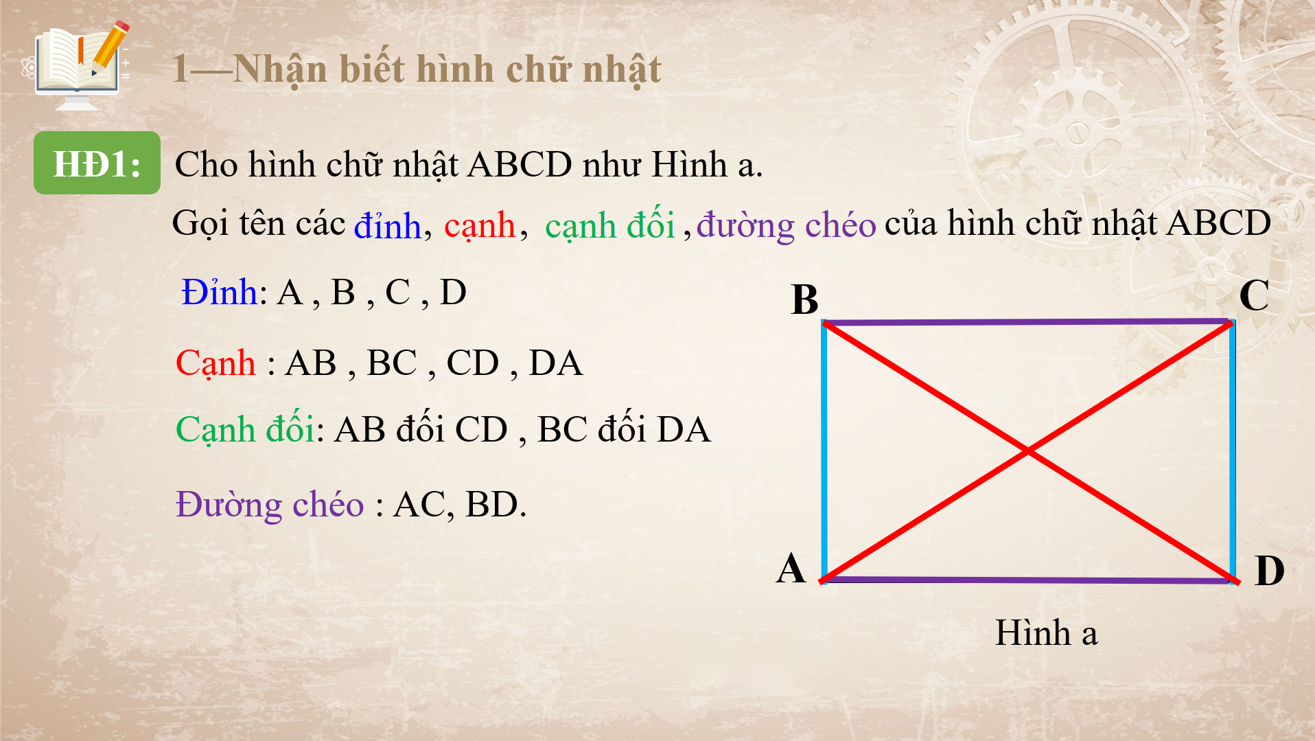 Bài 2: Hình chữ nhật. Hình thoi (Tiết 1) - Bộ sách Cánh diều 