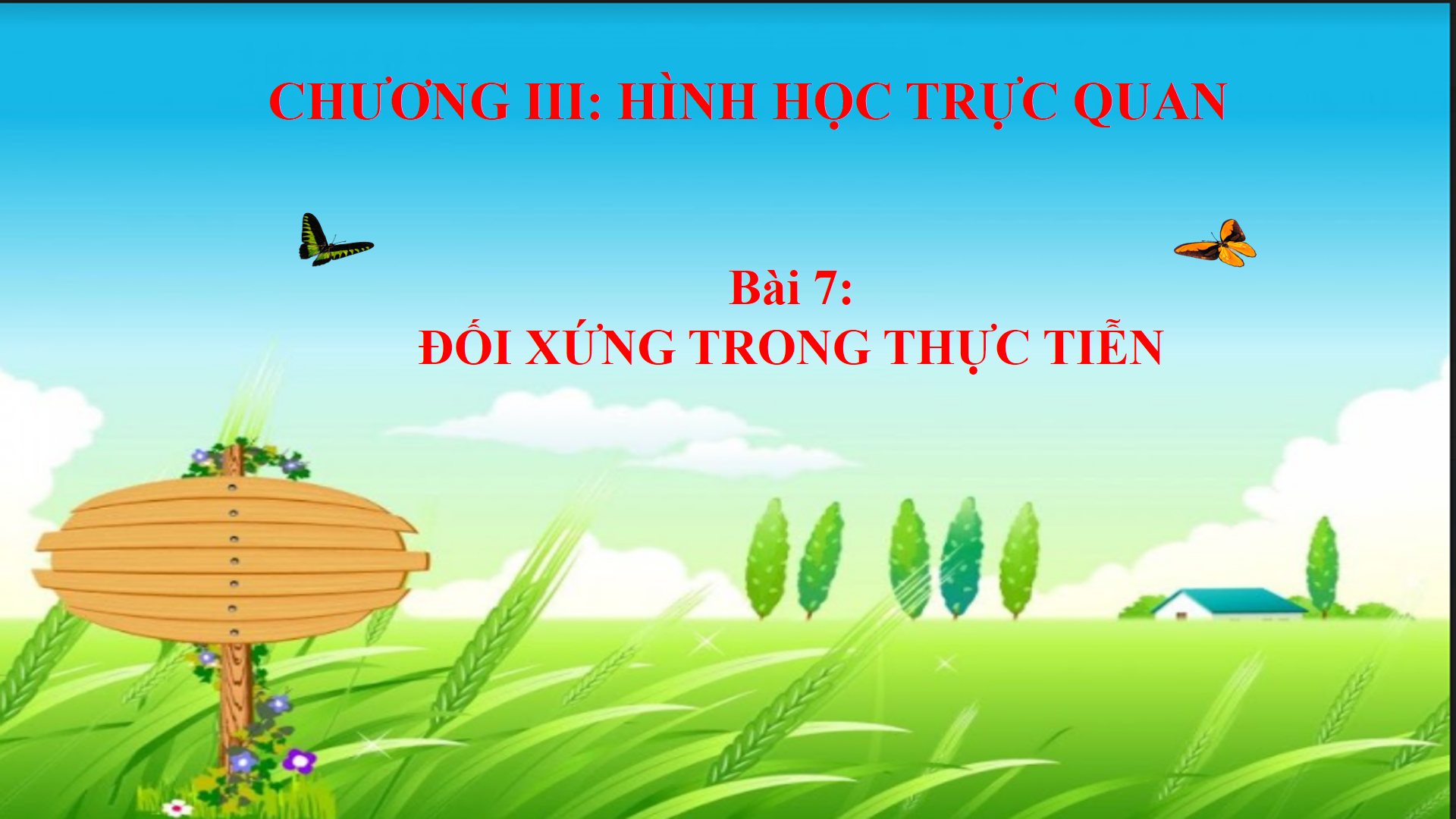 Bài 7: Đối xứng trong thực tiễn - Bộ sách Cánh diều 