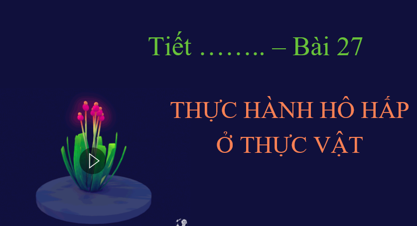 Bài 27: Thực hành hô hấp ở thực vật - Bộ sách Kết nối tri thức với cuộc sống 