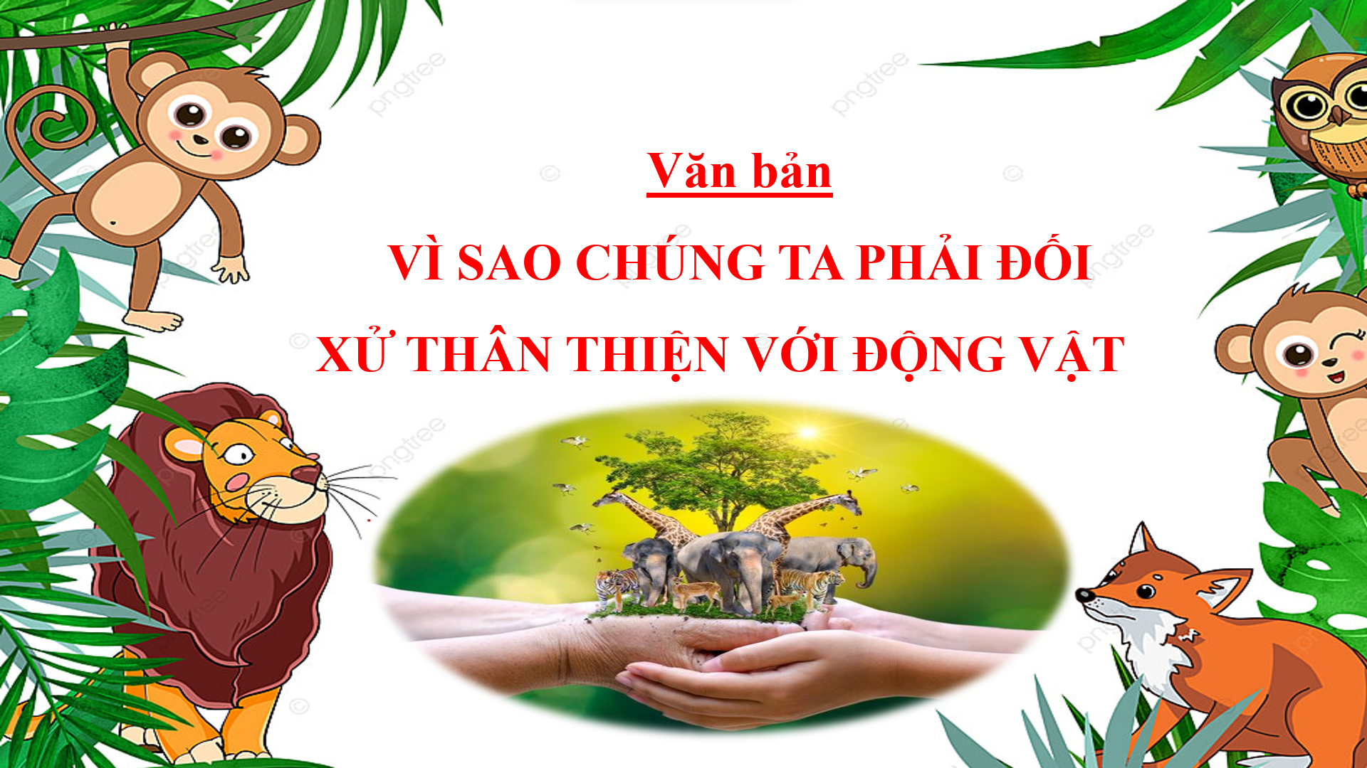 Bài 8: Đọc hiểu văn bản: Vì sao chúng ta phải đối xử thân thiện với động vật - Bộ sách Cánh diều 