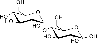 Cấu tạo phân tử Maltose