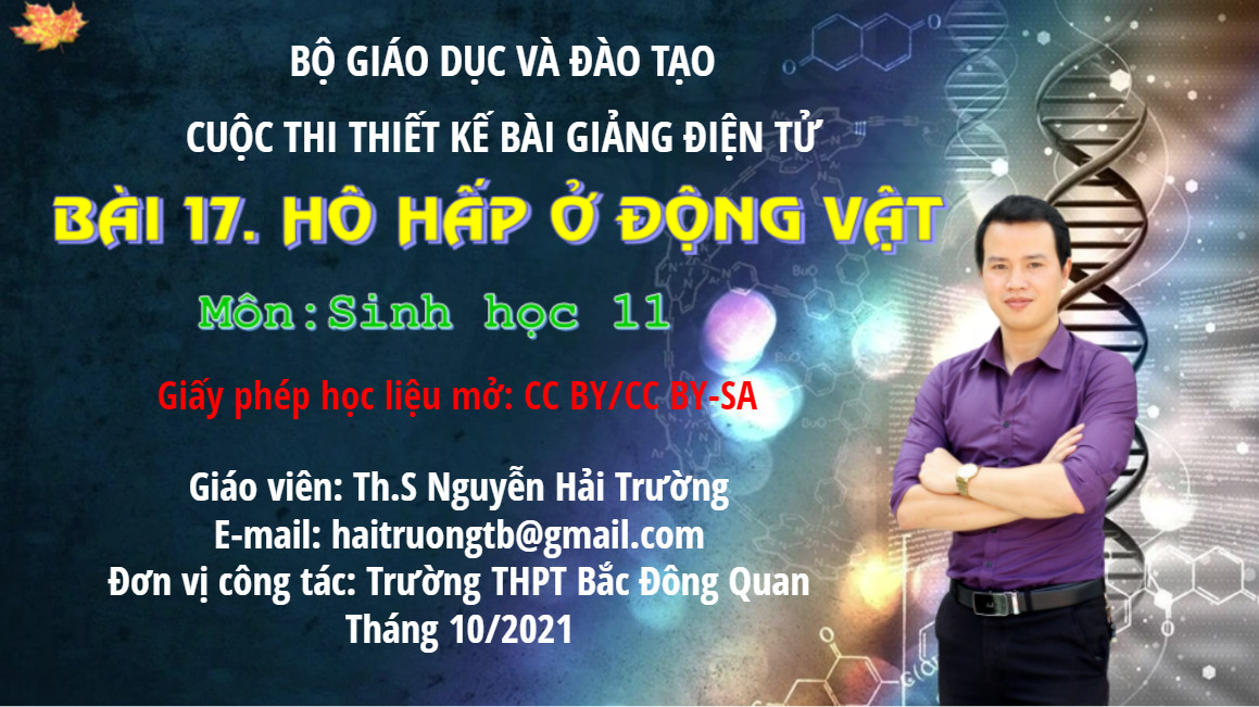 Bài 17. Hô hấp ở động vật