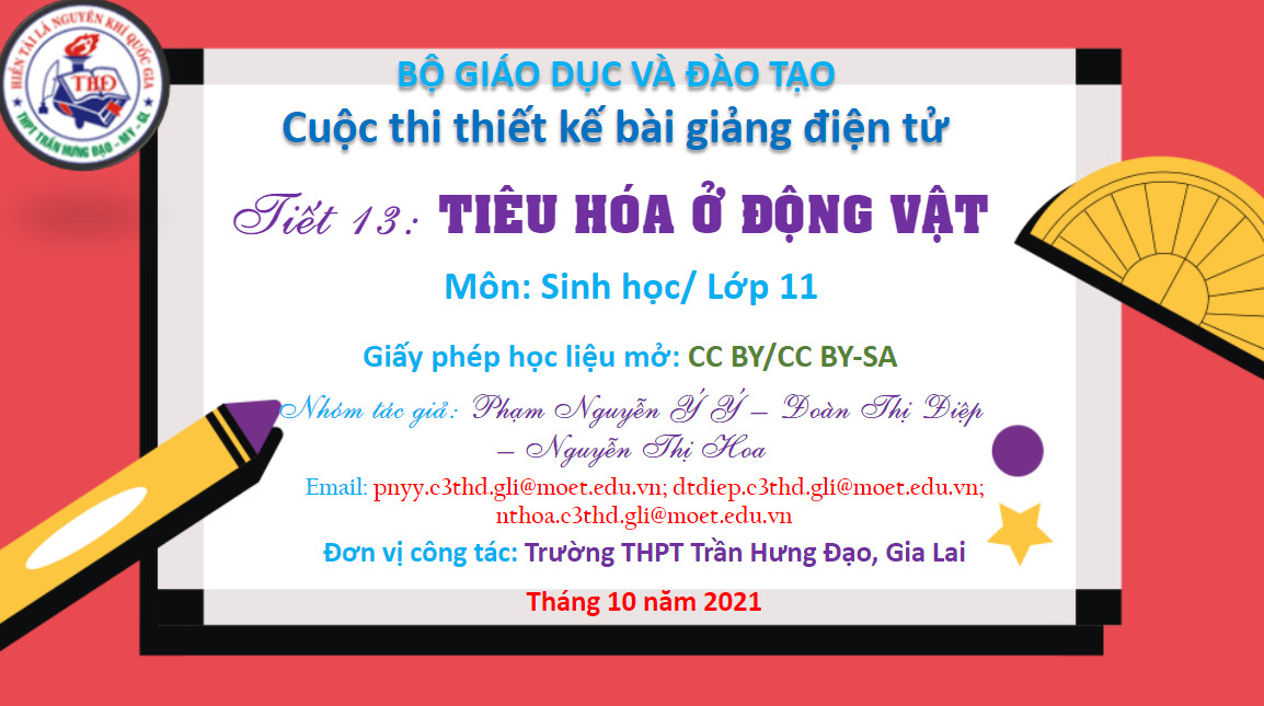 Bài 15. Tiêu hóa ở động vật