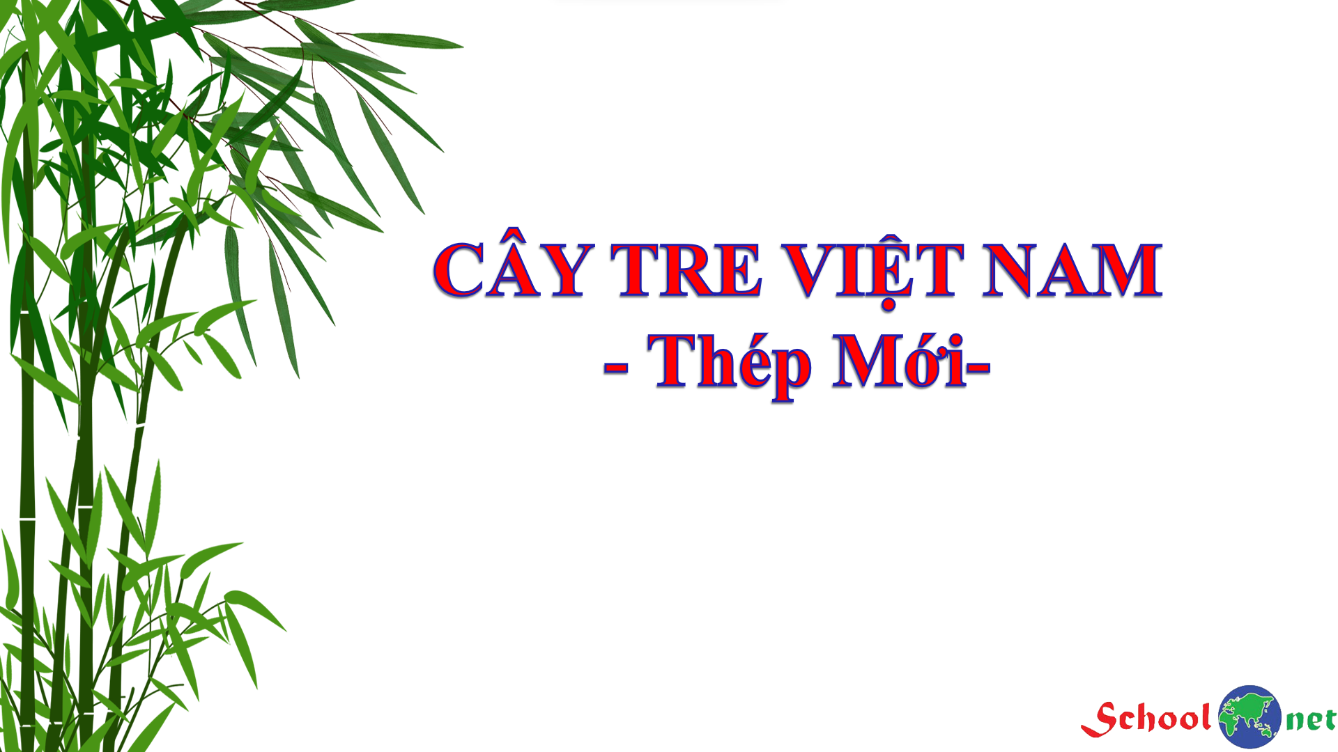 Bài 4: Đọc: Cây tre Việt Nam - Bộ sách Kết nối tri thức với cuộc sống