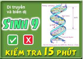 ADN và bản chất của gen